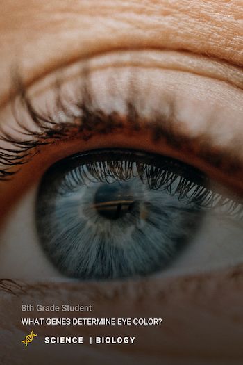 close up of an eye